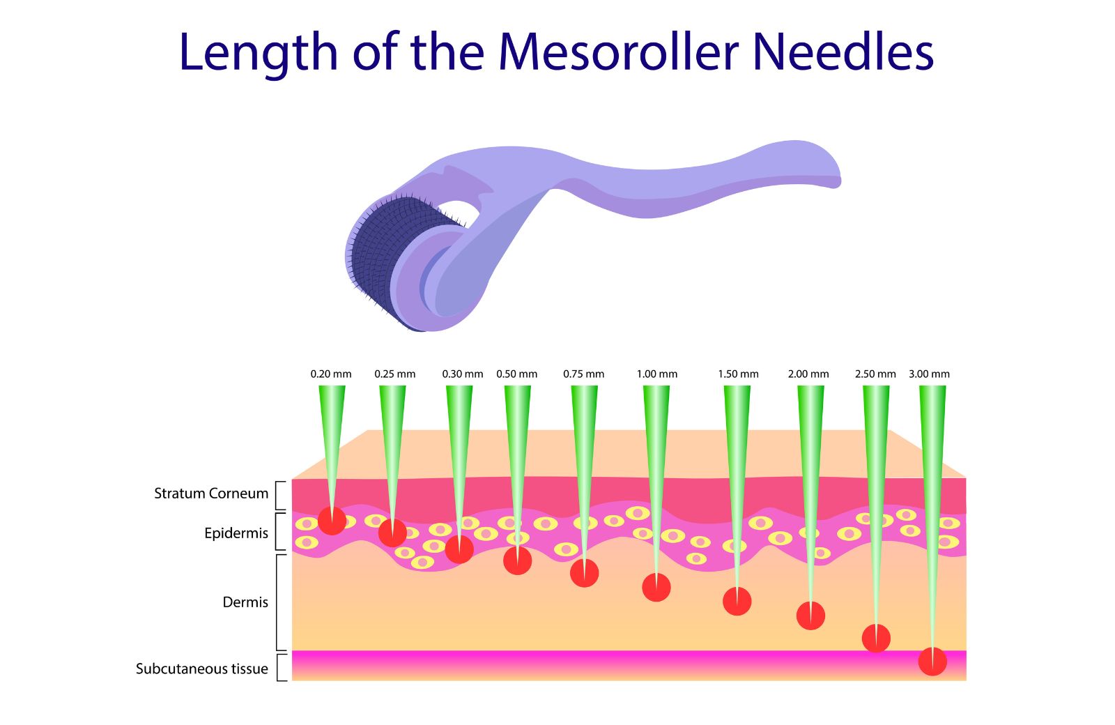 Derma Roller Needle Length Application