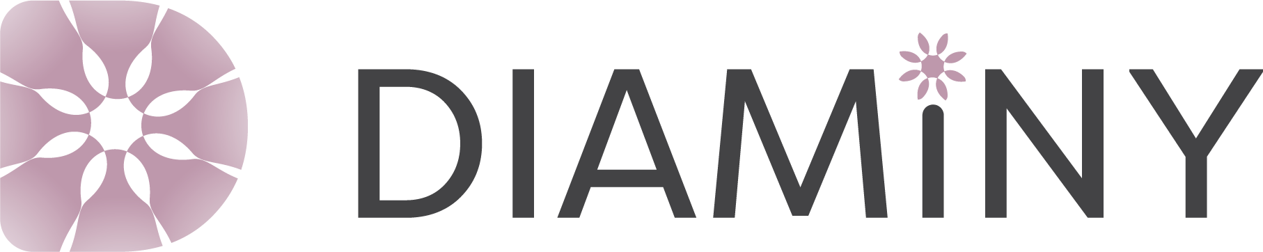 DIAMINY Logo