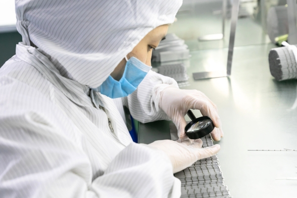 MICROCANNULA INSPECTION