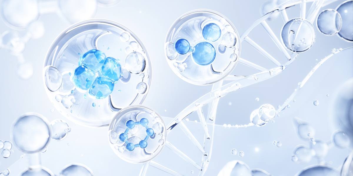 Diaminy hyaluronic acid essence ingredients